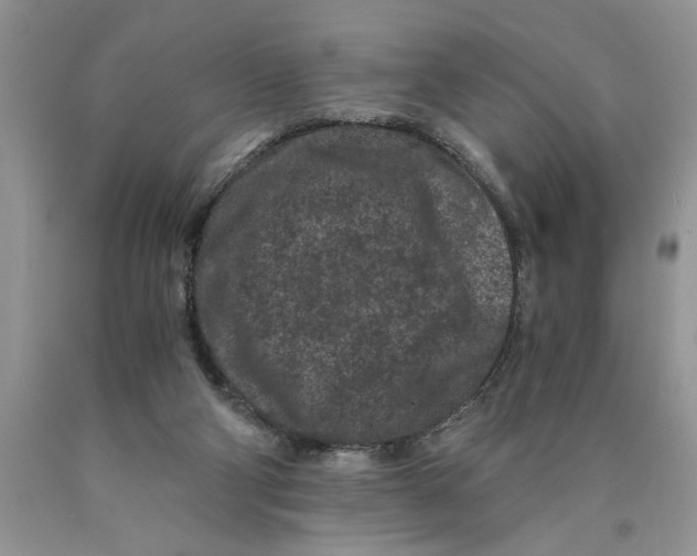 X0000089950114200707271848
