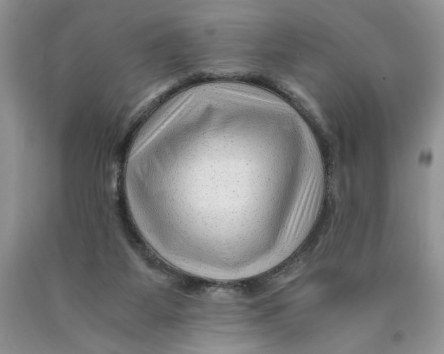 X0000089950115200707271848