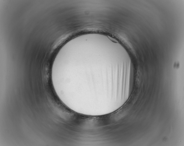 X0000089950116200707271848