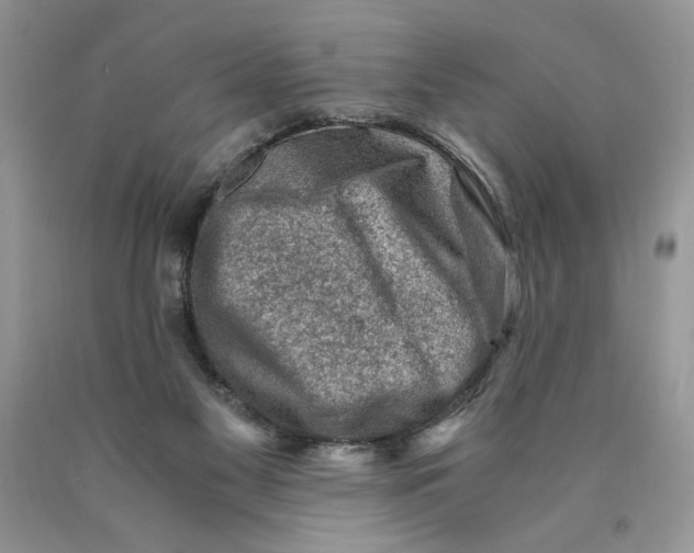 X0000089950117200707271848