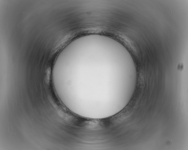 X0000089950118200707271848