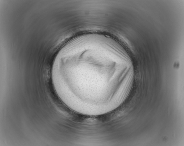 X0000089950119200707271848