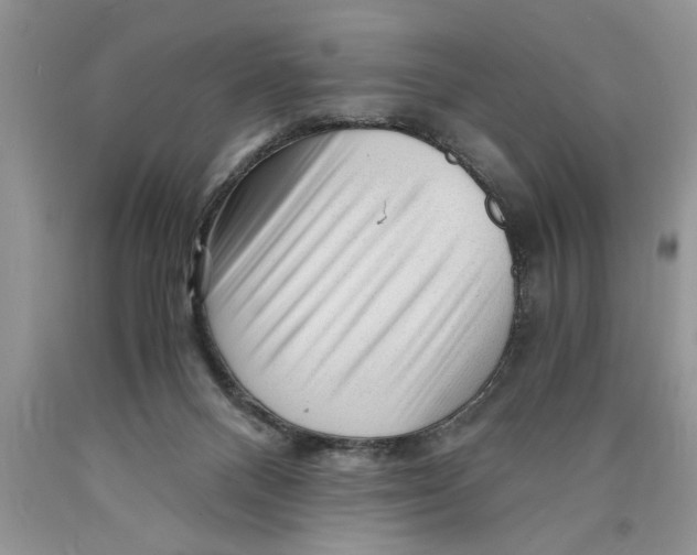 X0000089950120200707271848