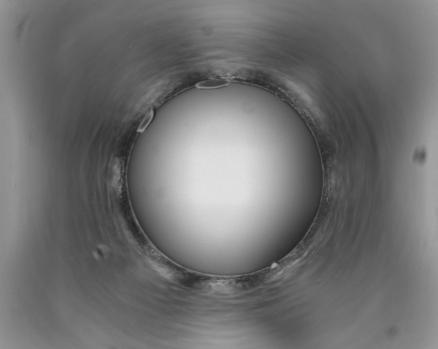 X0000089950121200707271848