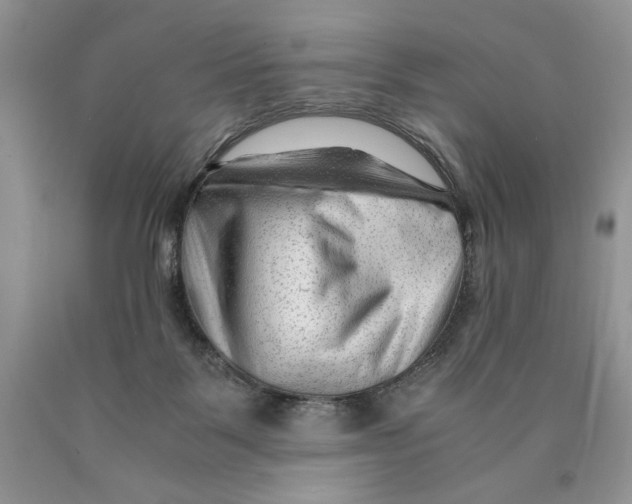X0000089950123200707271848