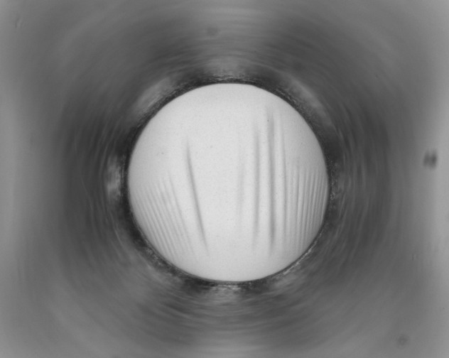 X0000089950124200707271848