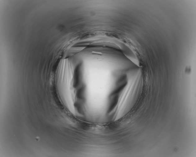 X0000089950125200707271848