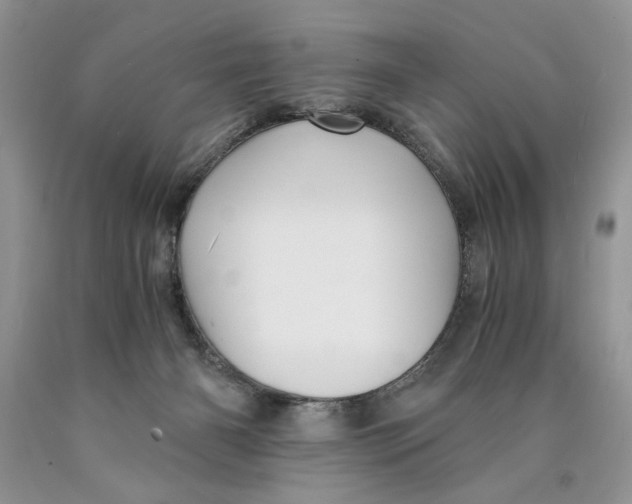 X0000089950126200707271848