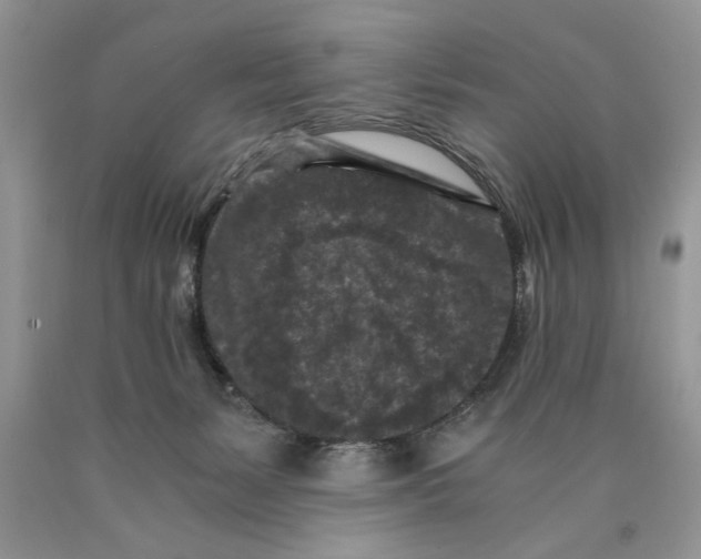 X0000089950127200707271848