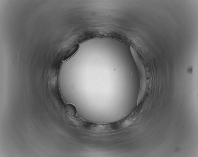 X0000089950129200707271848