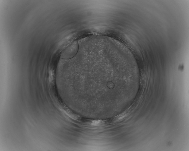 X0000089950130200707271848
