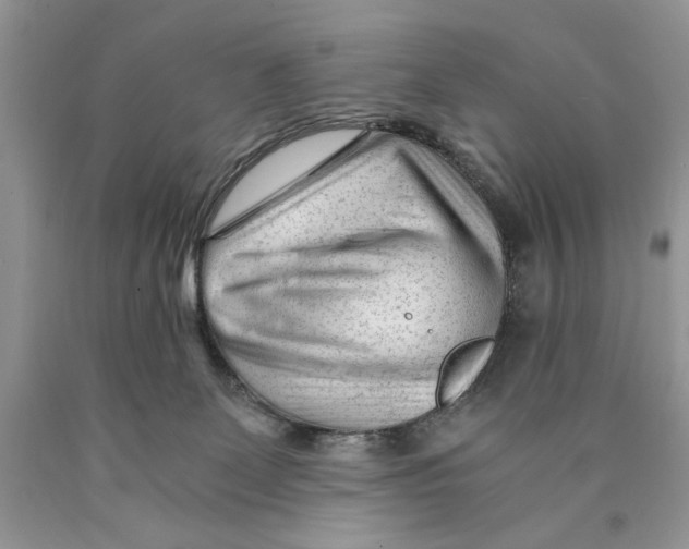X0000089950131200707271848