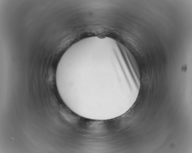 X0000089950132200707271848