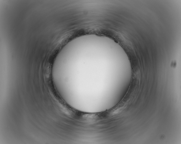 X0000089950133200707271848