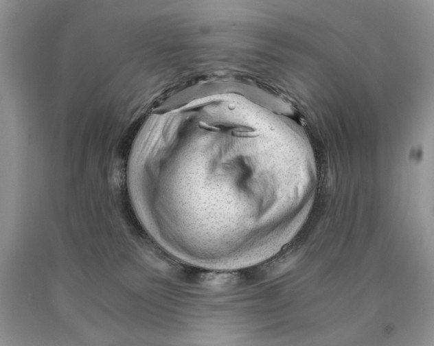 X0000089950135200707271848