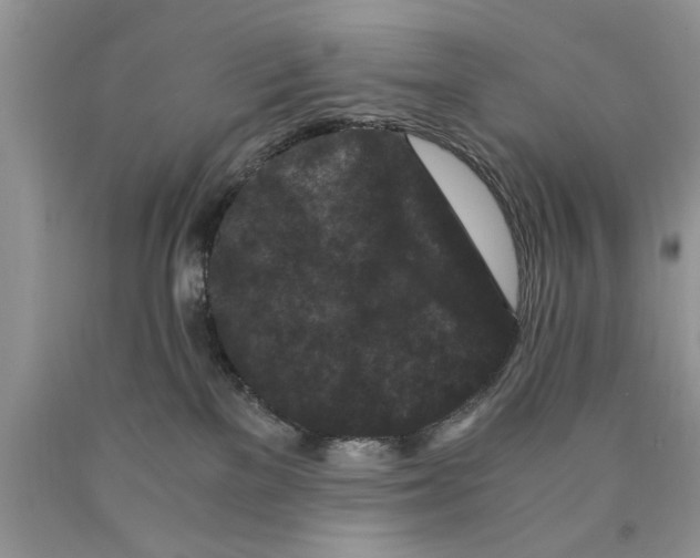 X0000089950137200707271848