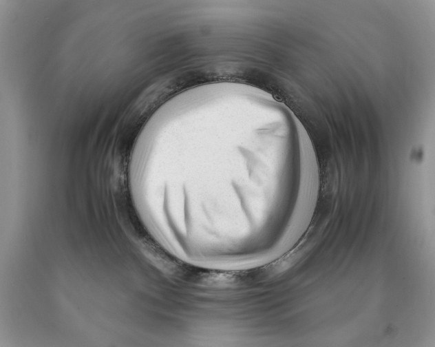 X0000089950140200707271848