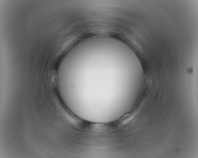 X0000089950141200707271848