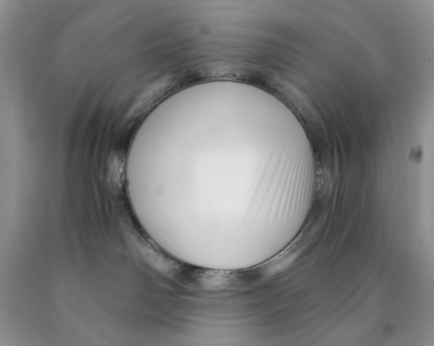 X0000089950142200707271848