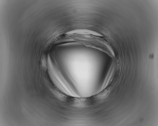 X0000089950143200707271848