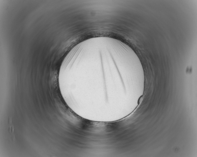 X0000089950144200707271848