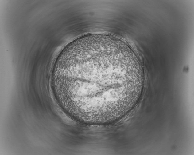 X0000089950145200707271847
