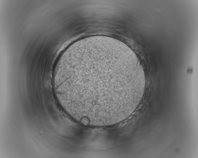 X0000089950146200707271847