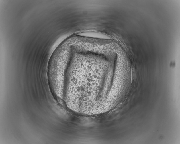 X0000089950147200707271847