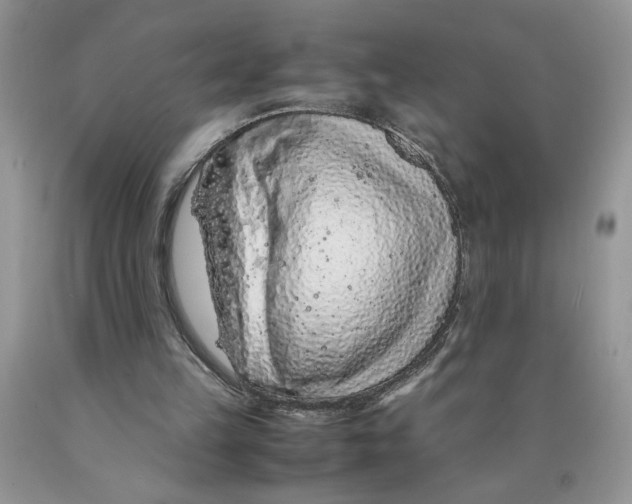 X0000089950149200707271847