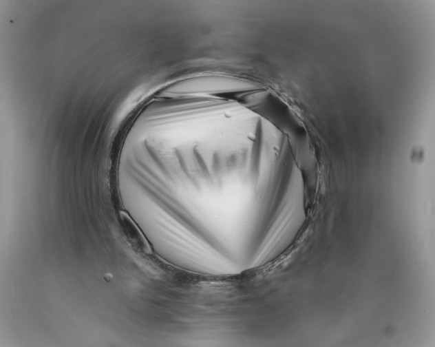 X0000089950150200707271847