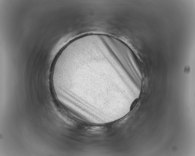 X0000089950151200707271848