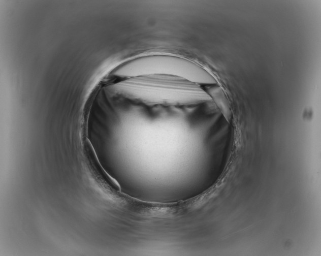 X0000089950152200707271848