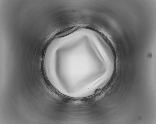 X0000089950153200707271848