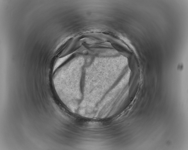 X0000089950154200707271848