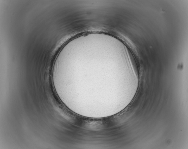 X0000089950155200707271848