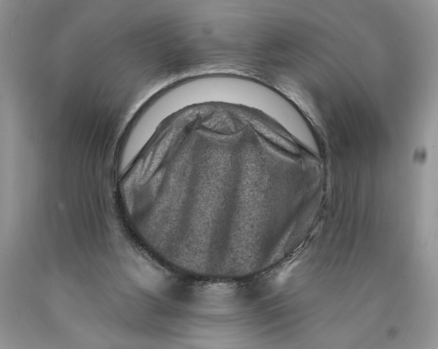 X0000089950156200707271848