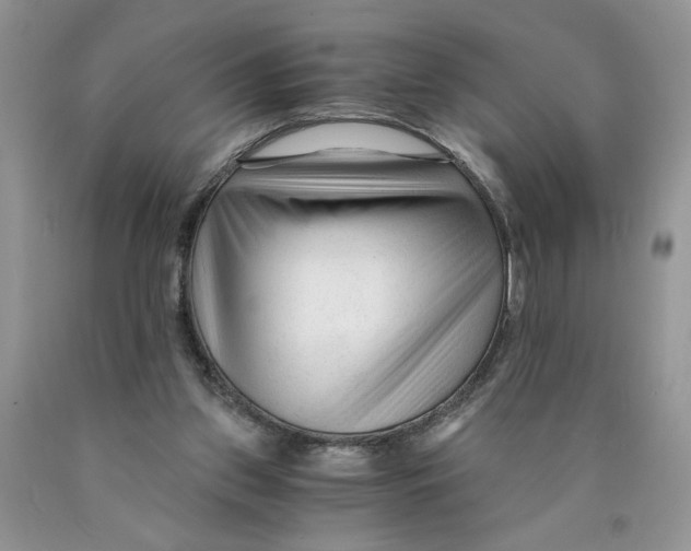 X0000089950157200707271848