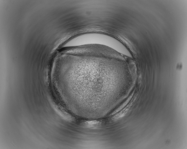 X0000089950158200707271848