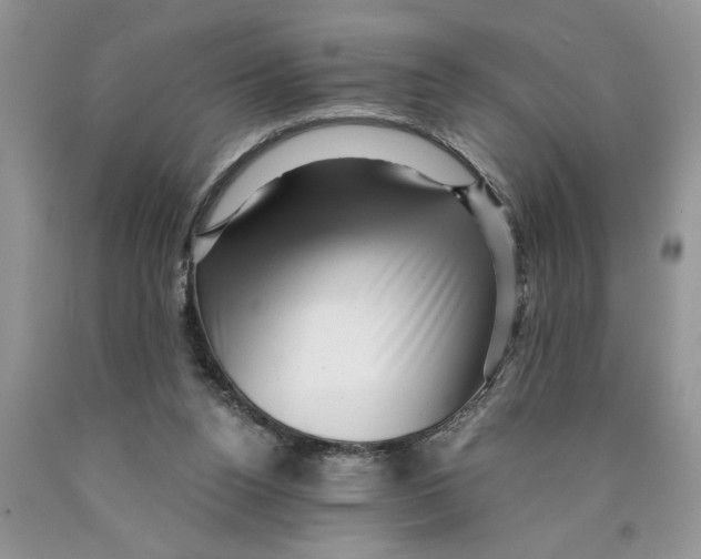 X0000089950160200707271848