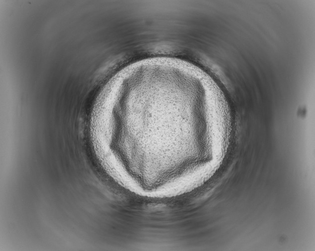 X0000089950161200707271848