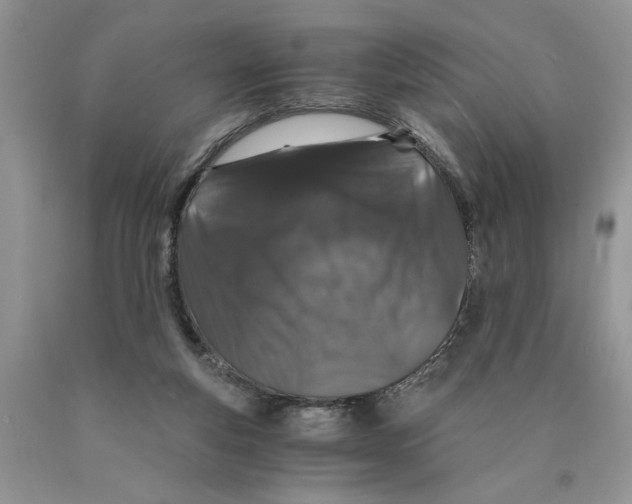 X0000089950163200707271848