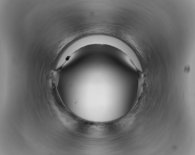 X0000089950164200707271848