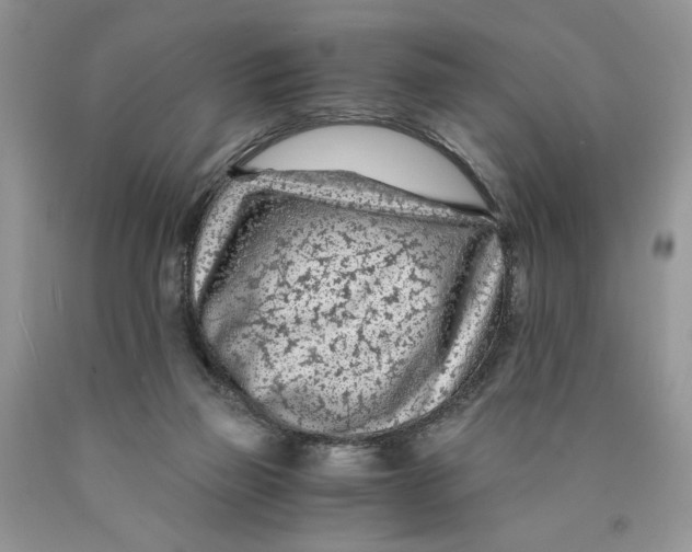 X0000089950165200707271848