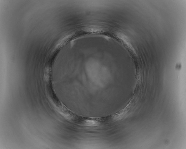 X0000089950167200707271848