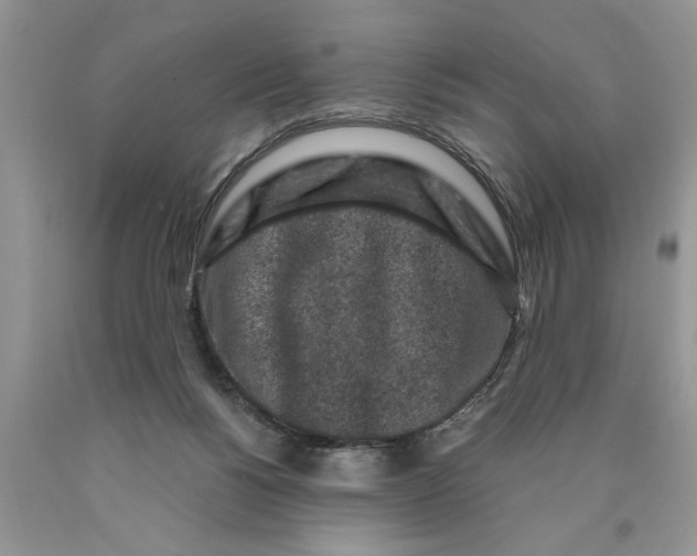 X0000089950168200707271848