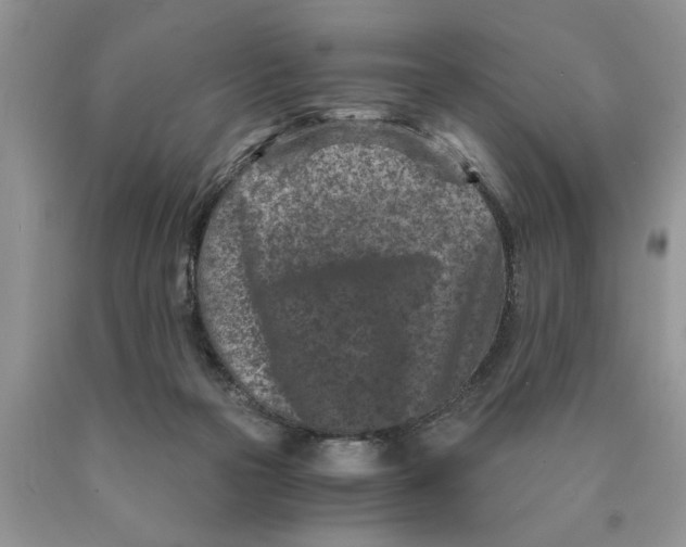 X0000089950169200707271848