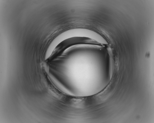 X0000089950170200707271848