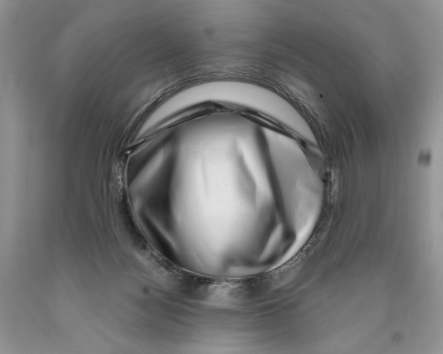 X0000089950172200707271848