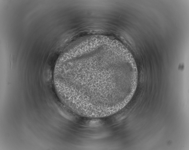 X0000089950173200707271848