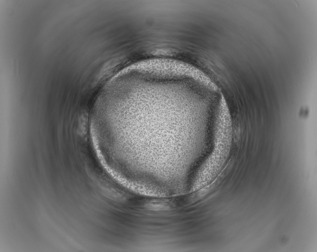 X0000089950175200707271848